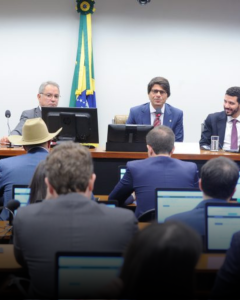 Feed (Novo) (11)