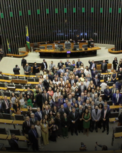 Feed (Novo) (5)