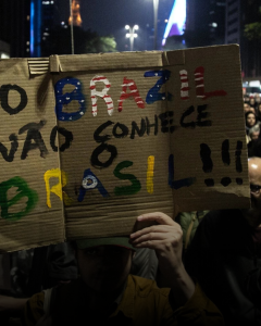 Feed (Novo) (13)