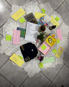 Feed (Novo)_20251128_105125_0000