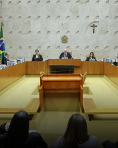 Feed (Novo) (1)